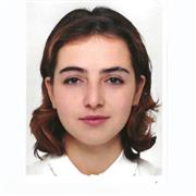 aide aux devoirs, aide à la traduction, introduction à la littérature/cinématographie anglaise- pour tous niveaux
